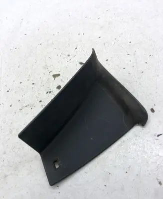 Rear/tail light trim molding