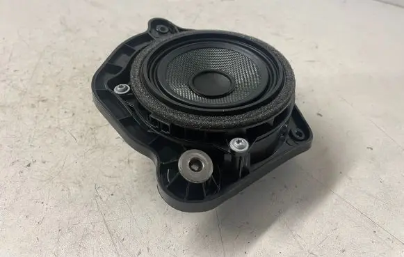 Front door high frequency speaker