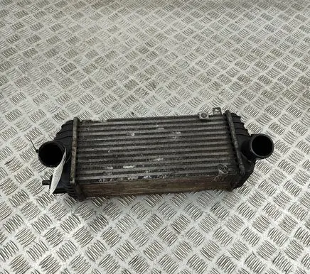 Intercooler radiator