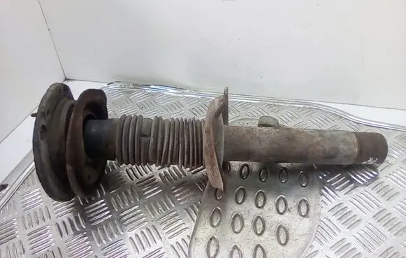 Peugeot 206 Front shock absorber/damper