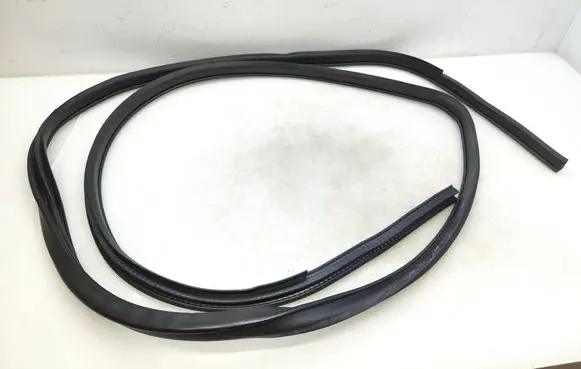 Nissan Qashqai Front door rubber seal 