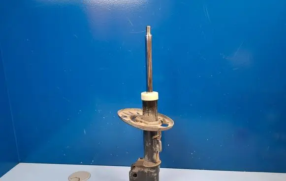 Citroen Berlingo Front shock absorber/damper 9847335980