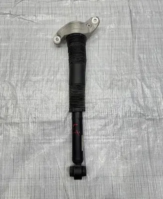 Land Rover Discovery Sport Rear shock absorber/damper LK72-18080-AC