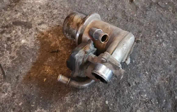 Skoda Superb B8 (3V) EGR valve cooler 04L131512BH