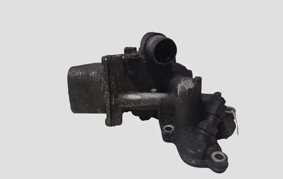 Renault Laguna III Oil filter mounting bracket 8200797762