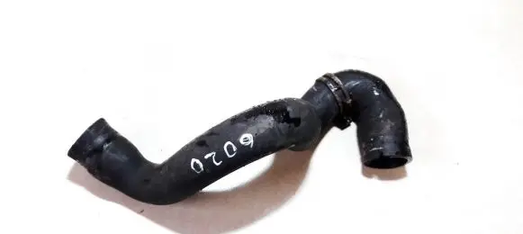 Ford Focus Engine coolant pipe/hose