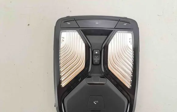 BMW X6 G06 Front seat light 5B32483 5B6C601