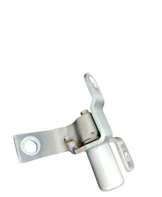 Rear door lower hinge