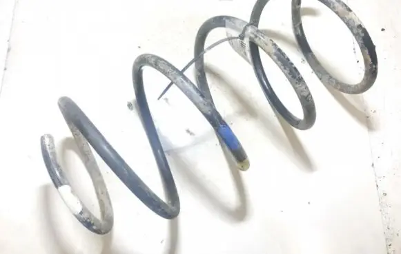 Front coil spring