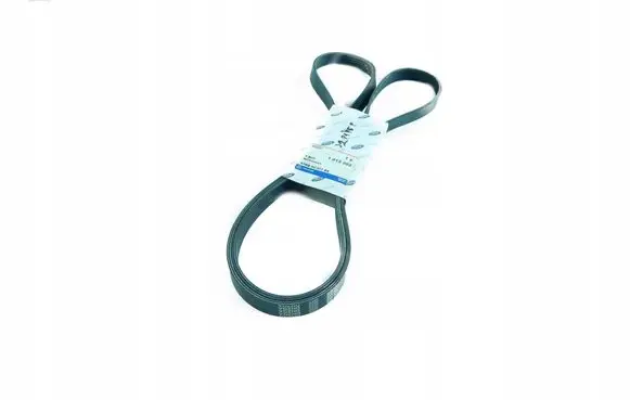 Ford Mondeo MK I Alternator belt 1013202
