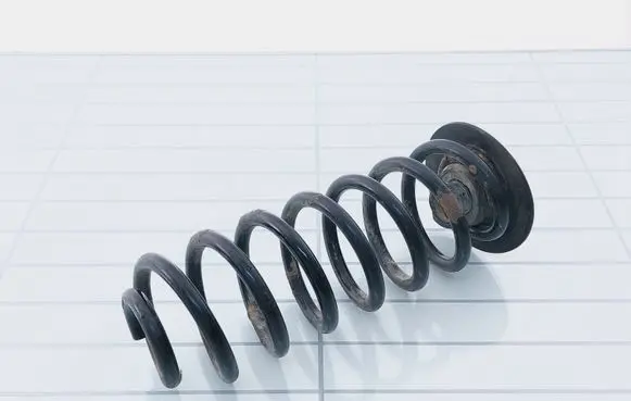 BMW 5 E39 Rear coil spring 33531093786