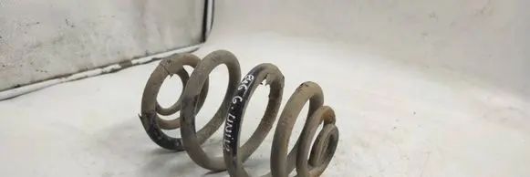 Rear coil spring