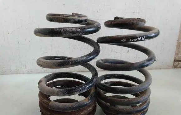 Rear coil spring