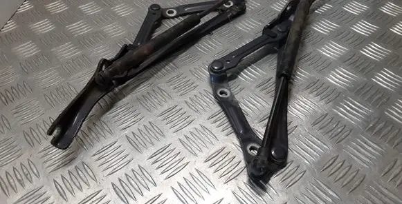Tailgate/trunk/boot hinge