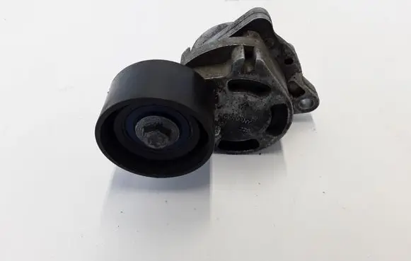 Renault Master II Timing belt/chain tensioner 0802410121