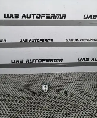 Renault Megane IV Front door lower hinge 