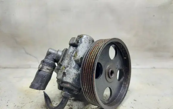 Peugeot 406 Power steering pump 9624659580