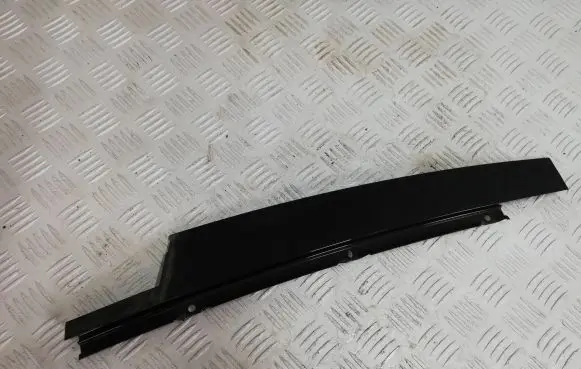 Renault Laguna III Front door trim (molding)