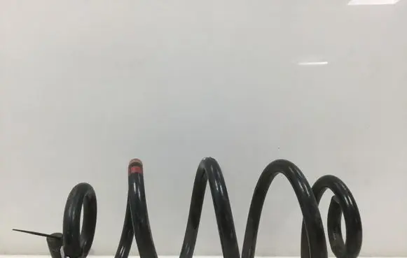 Nissan Qashqai Rear coil spring 