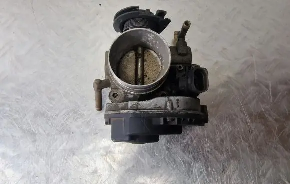 Volkswagen New Beetle Throttle valve 06A133066E