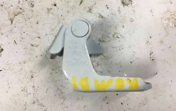Renault Megane IV Rear door lower hinge