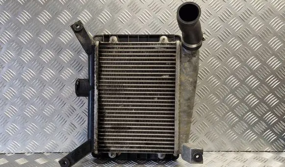 Toyota RAV 4 (XA20) Intercooler radiator