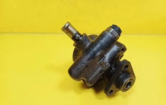 Fiat Punto (176) Power steering pump 