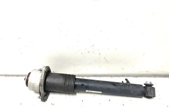 BMW X6 E71 Rear shock absorber/damper 6783018
