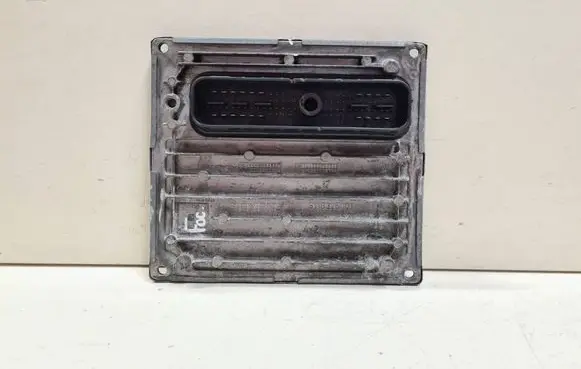 Ford Focus Engine control unit/module S118325001