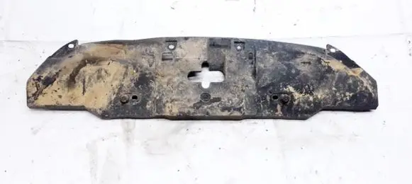 Engine bonnet/hood lock trim molding