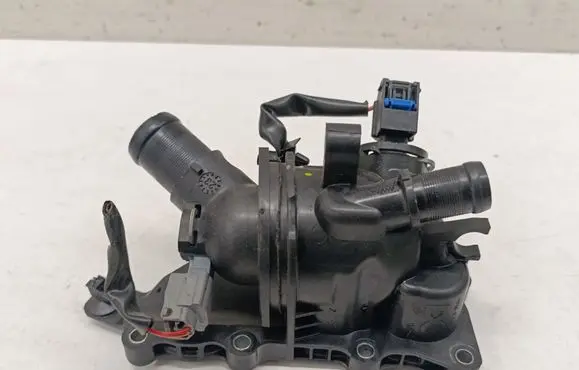 Thermostat/thermostat housing