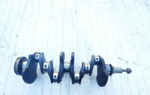 Renault Scenic I Crankshaft 