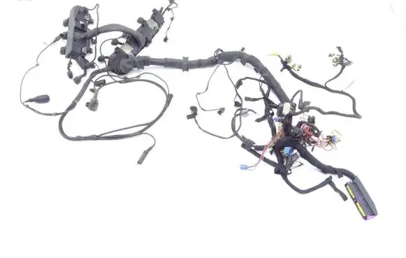 Land Rover Range Rover L322 Engine installation wiring loom 7520672