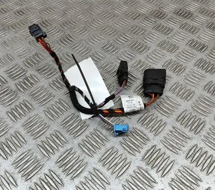 Cupra Born Other wiring loom 1EA971566