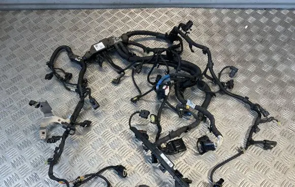 Engine installation wiring loom