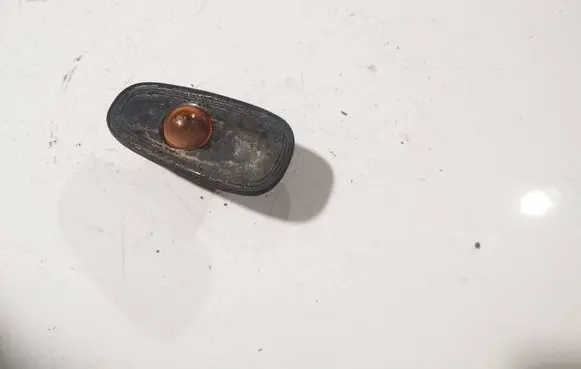 Renault Laguna I Front fender indicator light 