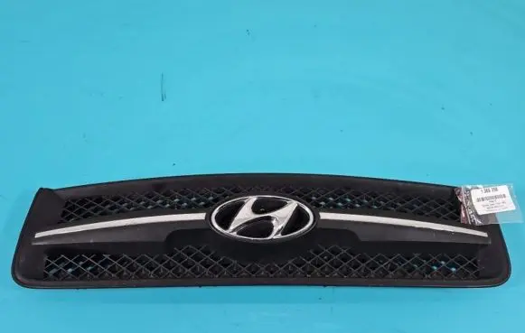 Front bumper upper radiator grill