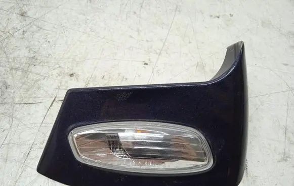 Citroen C4 I Picasso Mirror indicator light 202296