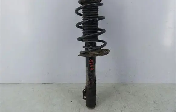 Volkswagen Fox Front shock absorber with coil spring