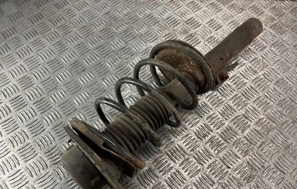 Peugeot 206 Front shock absorber with coil spring