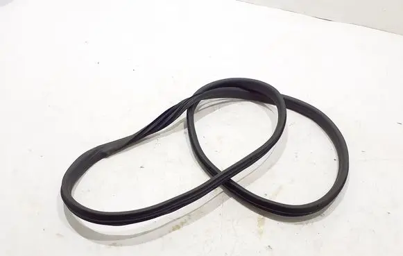 Dacia Duster Rear door rubber seal (on body) 769235234R