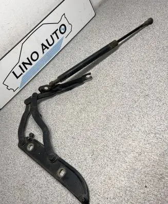 BMW 3 E46 Tailgate/trunk/boot hinge 8229074