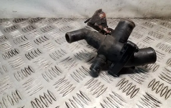 Thermostat/thermostat housing