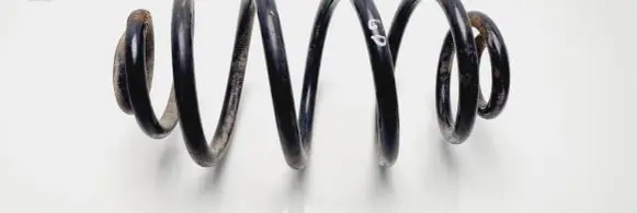 Volkswagen PASSAT B5 Rear coil spring