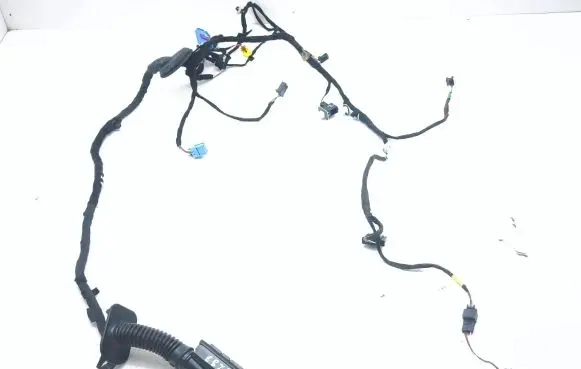 Front door wiring loom