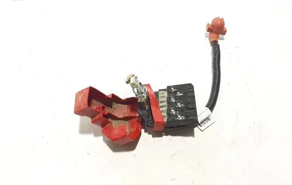 Renault Megane E-Tech Positive cable (battery) 241055MZ0A