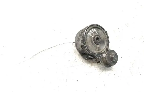 Fiat Scudo Generator/alternator belt tensioner 505424182141R