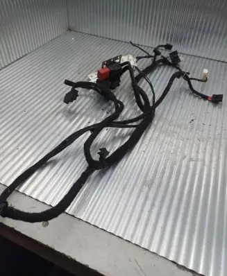 Citroen Jumper Other wiring loom 1367839080 021072010 017623890058463