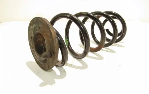 Rear coil spring