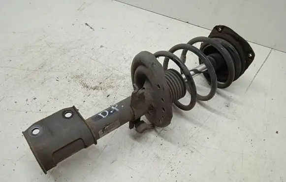 Renault Scenic III - Grand scenic III Front shock absorber with coil spring 543022646